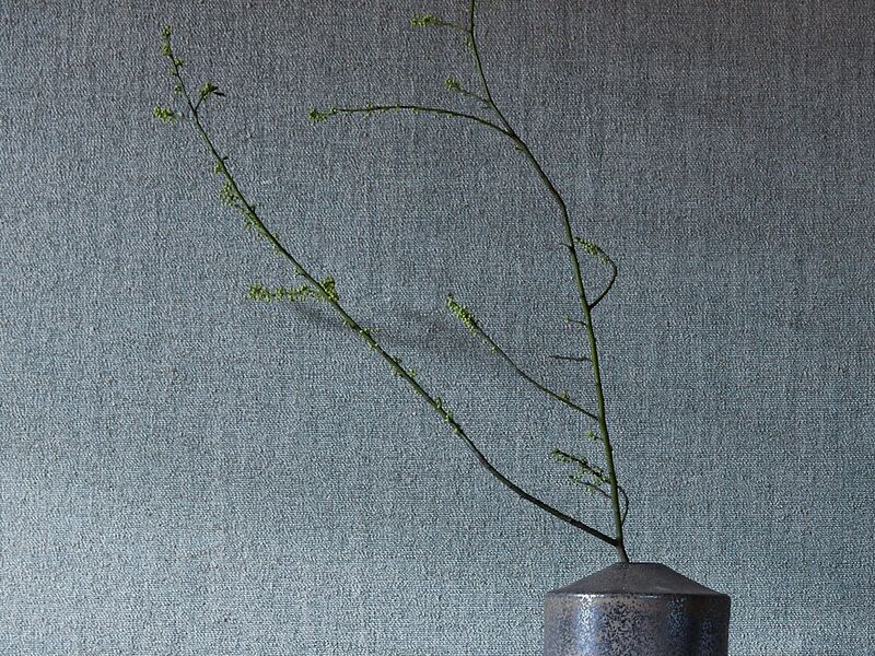 Japanese Linen | Gregorius Pineo